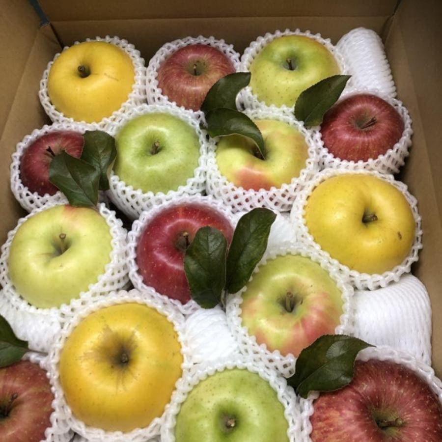 津軽産りんご・アソート 家庭用5Kg【送料込み】（販売終了）