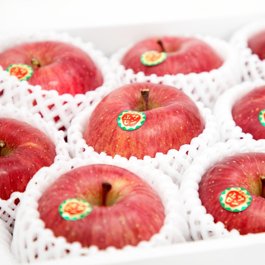 津軽産サンふじ 贈答用3Kg【送料込み】（販売終了）