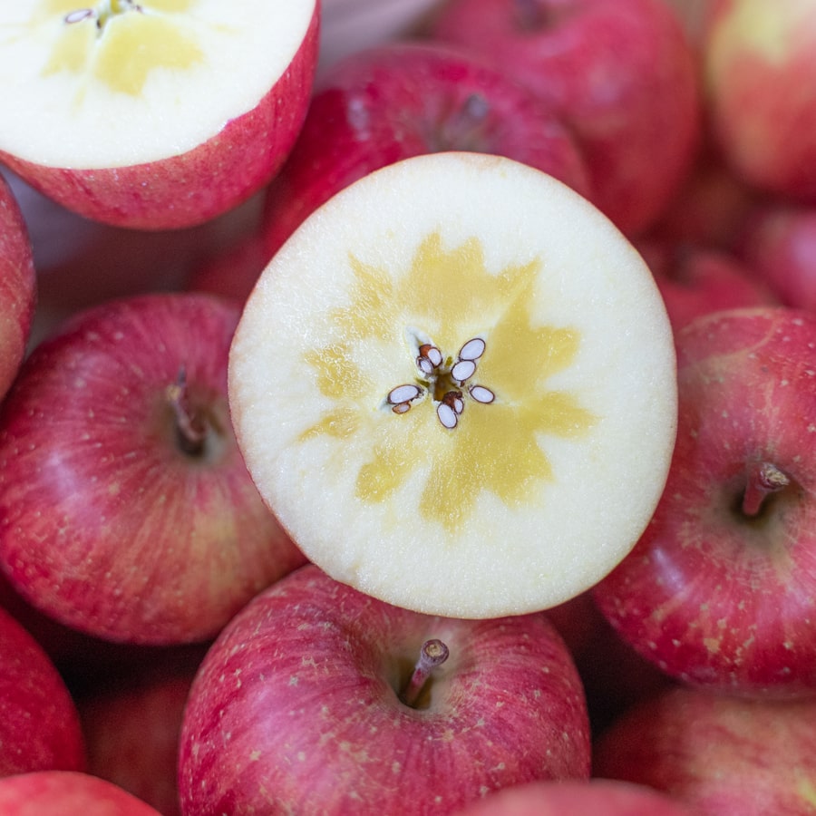 津軽産サンふじ 家庭用10Kg【送料込み】（販売終了）