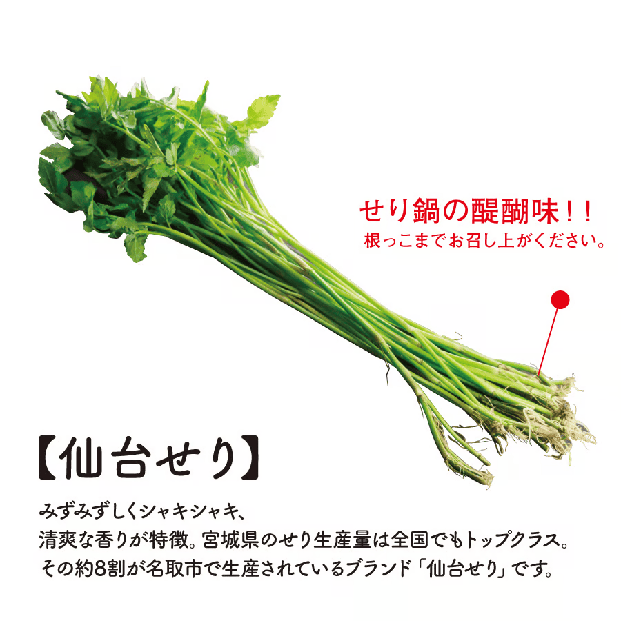 仙台せり鍋セット・ハーフサイズ（2～3人前）【送料込み】（販売終了）