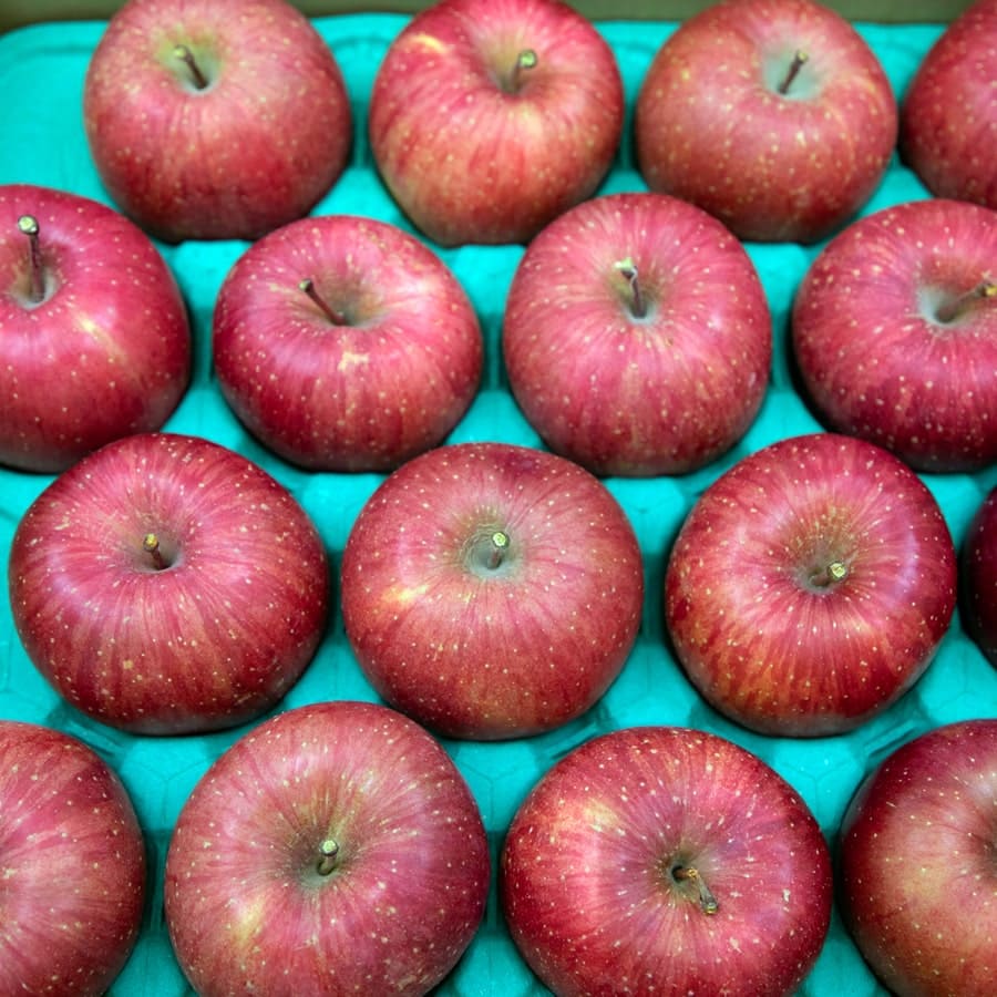 青森津軽平川市産りんご家庭用5㎏