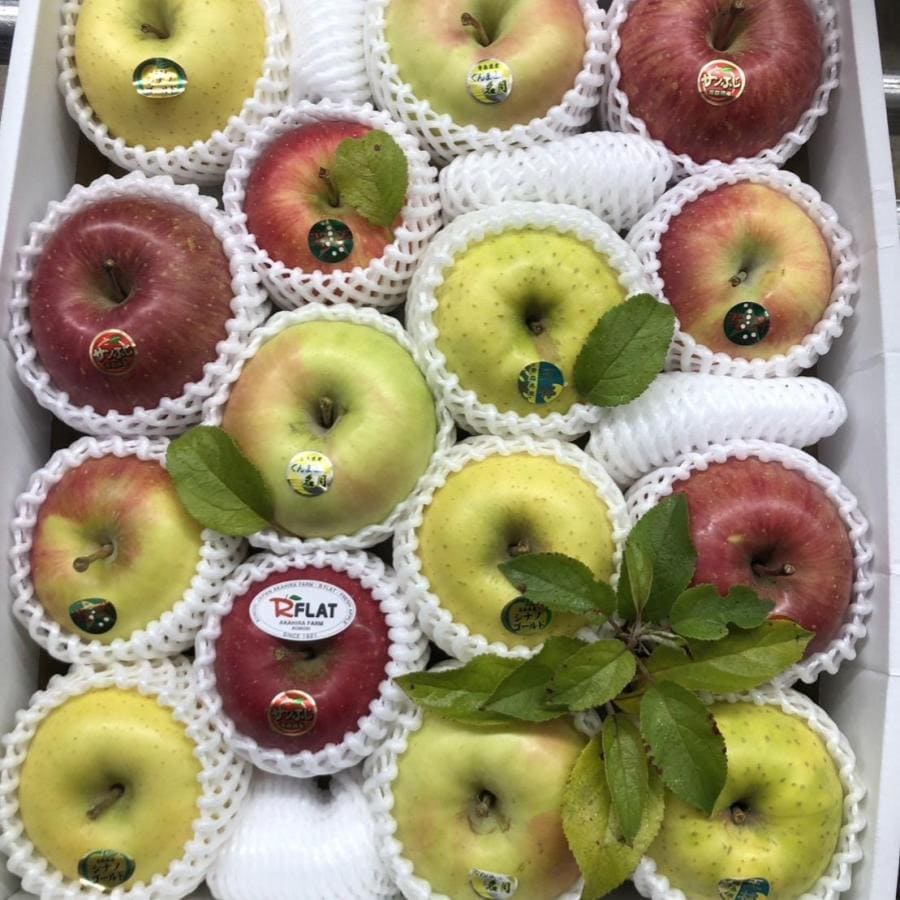 津軽産りんご・アソート 家庭用5Kg