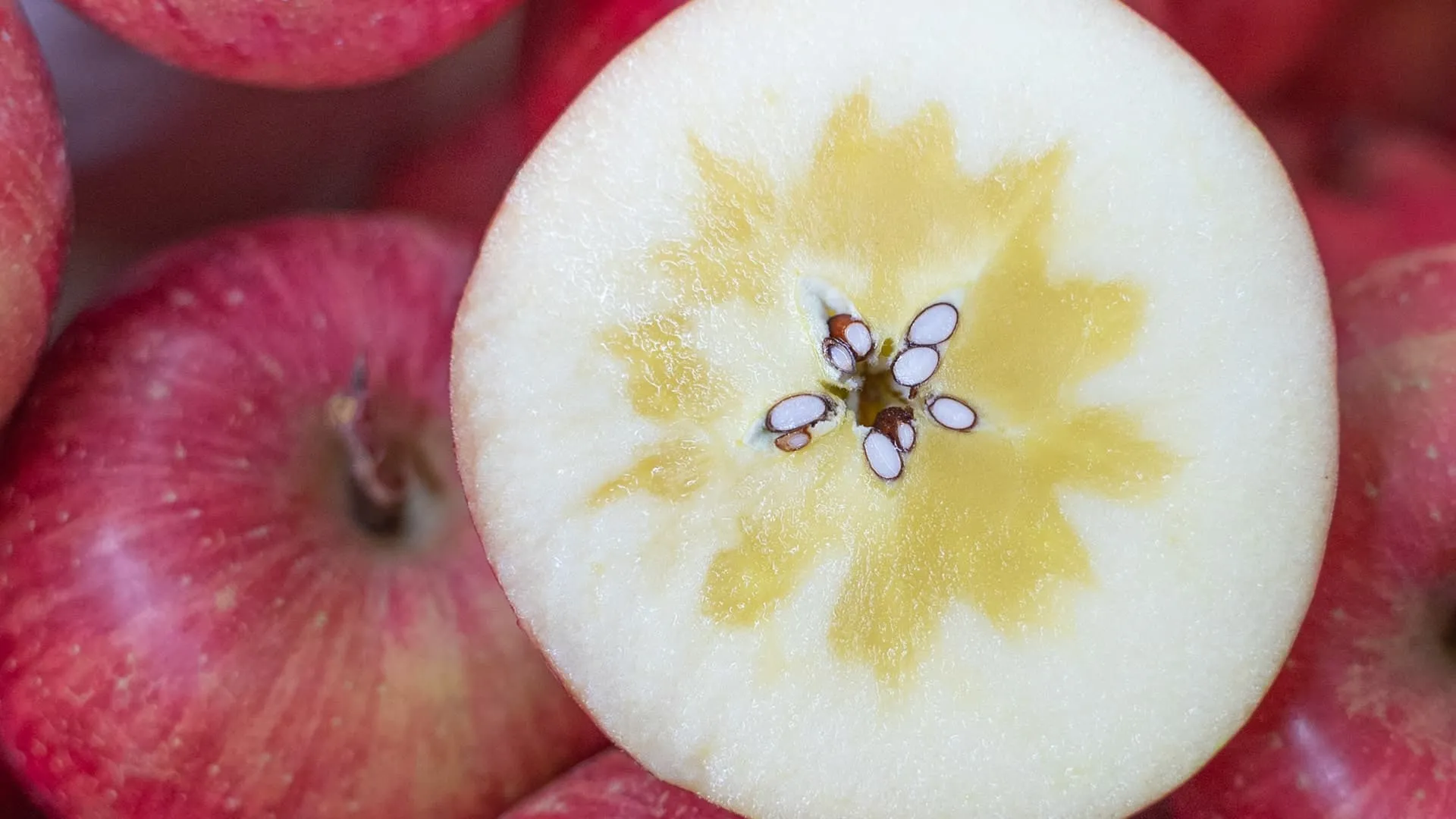 青森県産のりんご